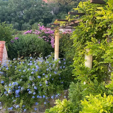 Kastel Spanic Holiday home Cara