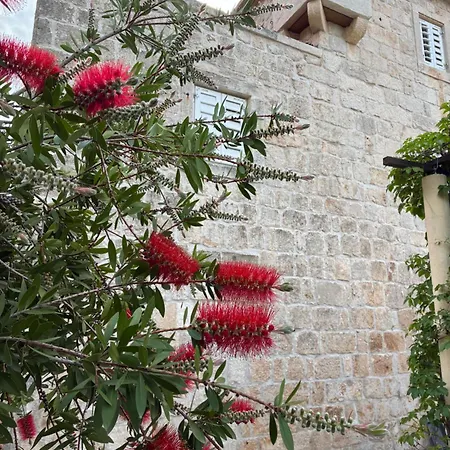 Kastel Spanic Holiday home