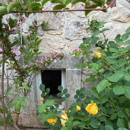 Kastel Spanic Holiday home *